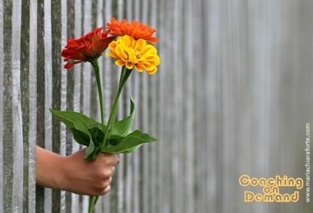 Maria Chiara Forte - Business & Life Coach - Opportunity